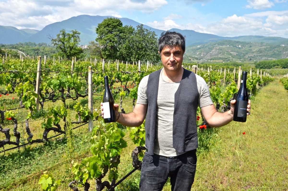 Diamantakos Winery winery in Naoussa, Greece