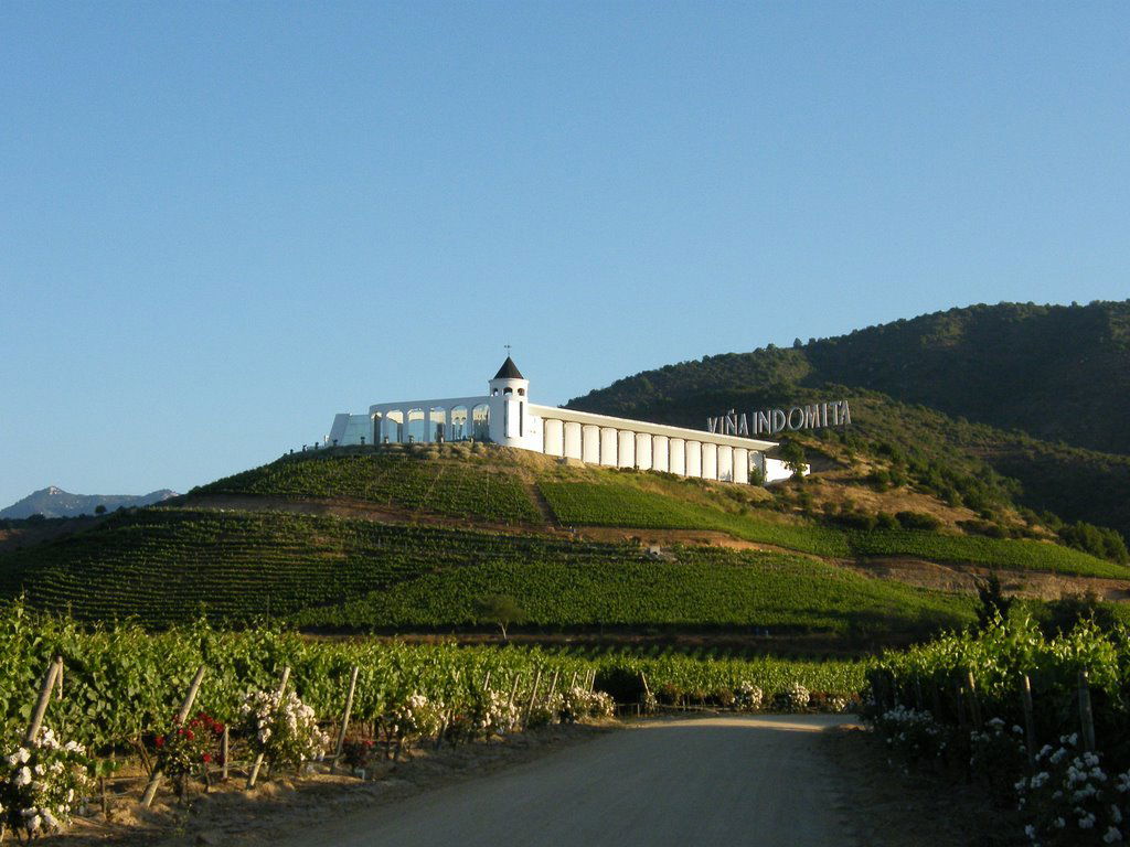 Indómita winery in Casablanca, Morocco