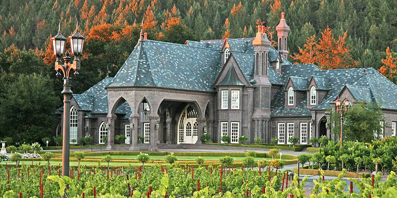Ledson Winery & Vineyards