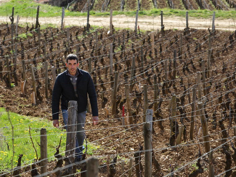 Domaine Duroché, Gevrey-Chambertin, France
