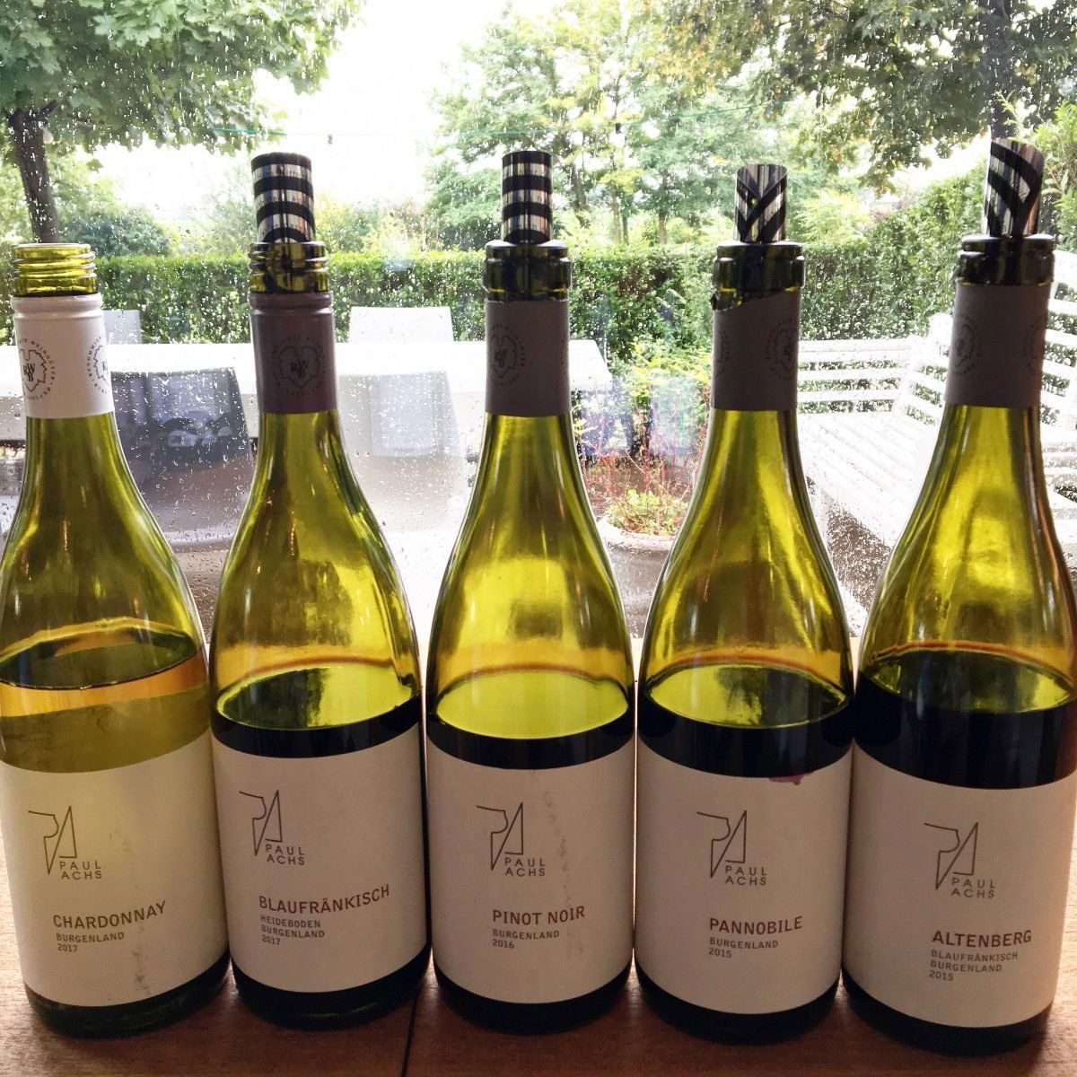 Weingut Paul Achs winery in Gols, Austria