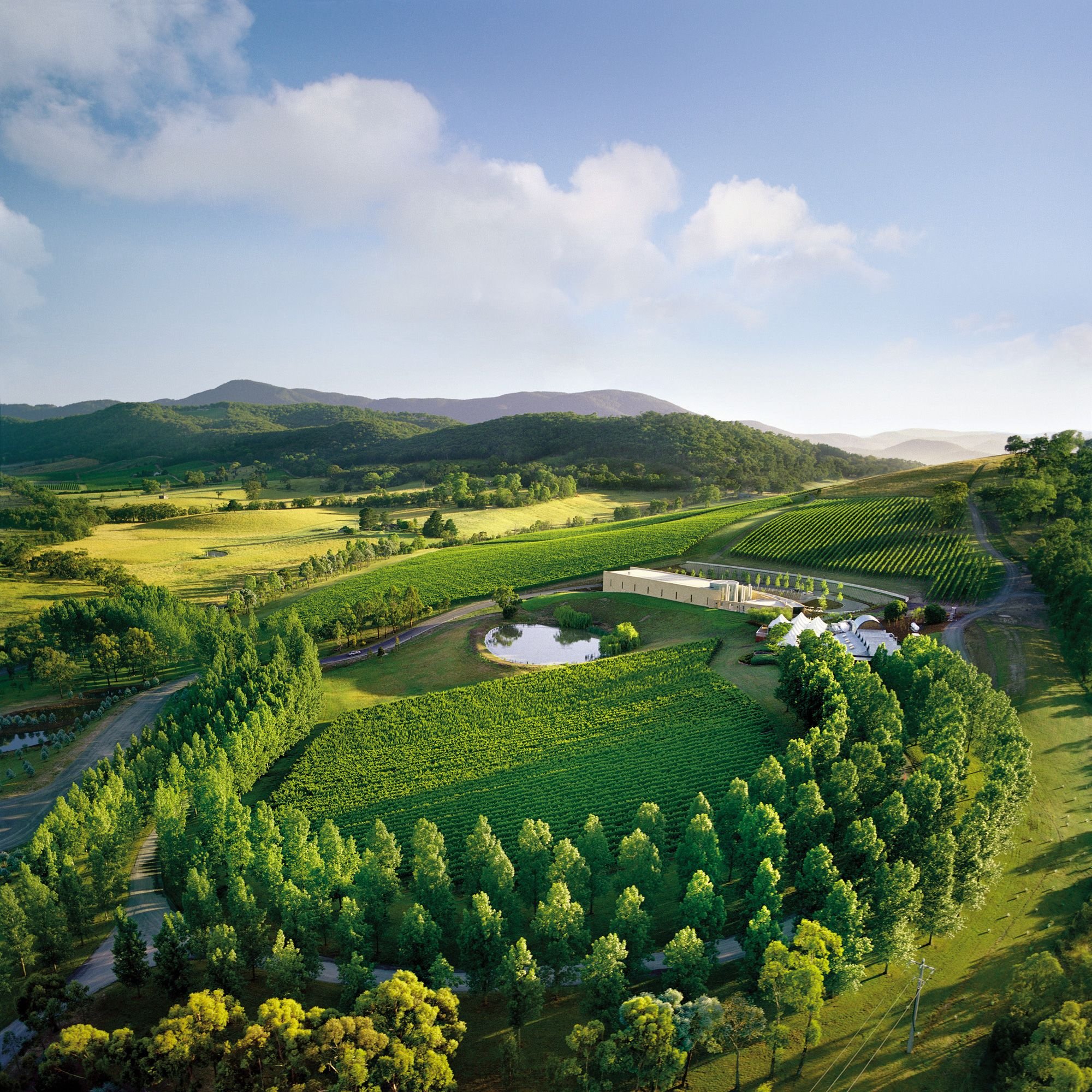 TarraWarra Estate winery in Yarra Valley