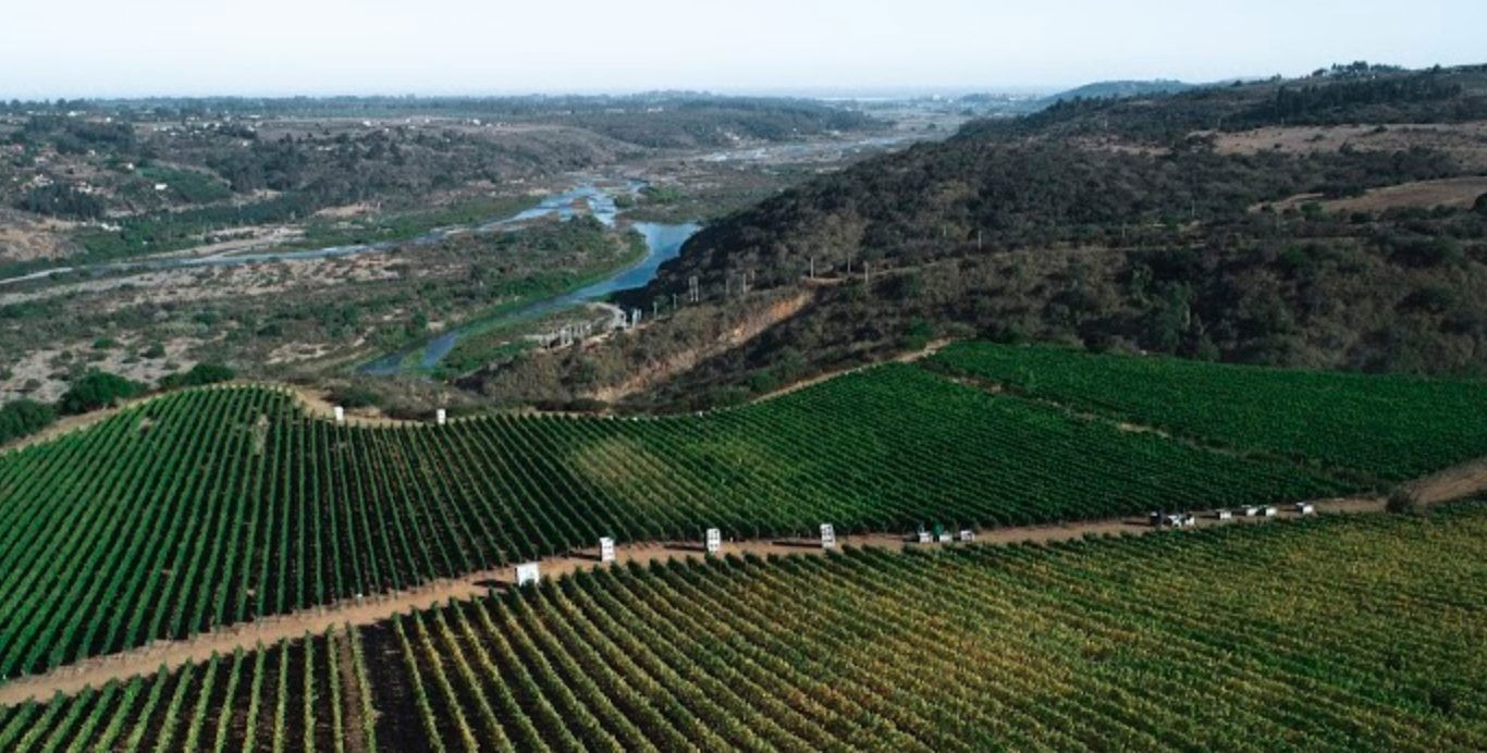 Viña Leyda, Winery in San Antonio