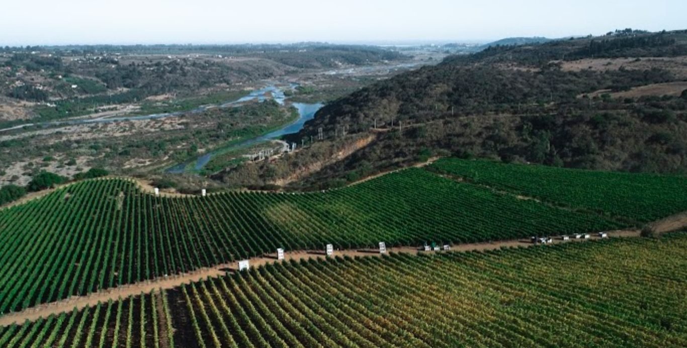 Viña Leyda winery in San Antonio, United States