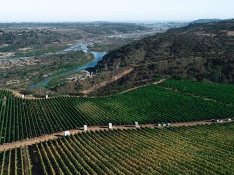 Viña Leyda, San Antonio, United States