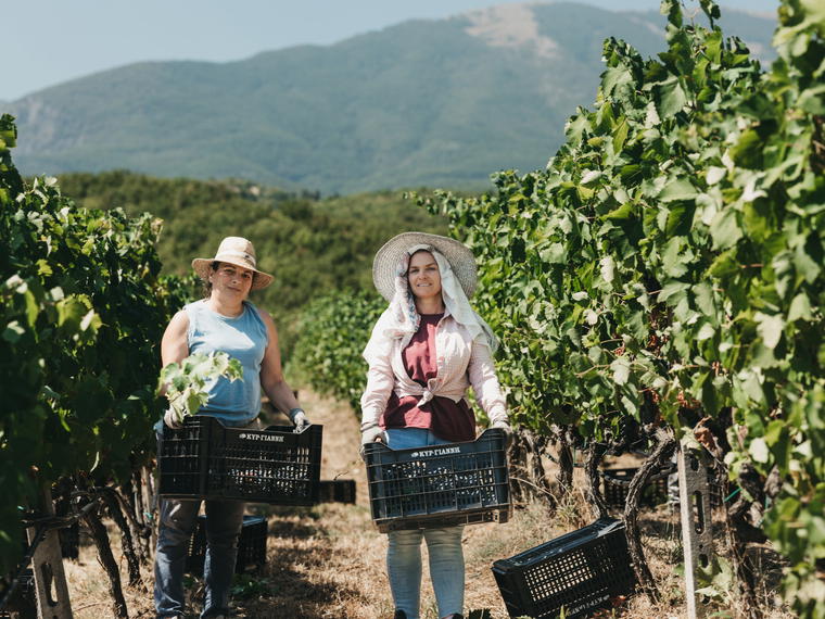 Kir-Yianni Estate, Naoussa, Greece