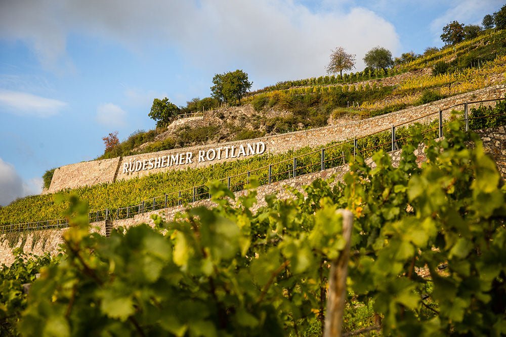 Weingut Balthasar Ress, Winery in Eltville