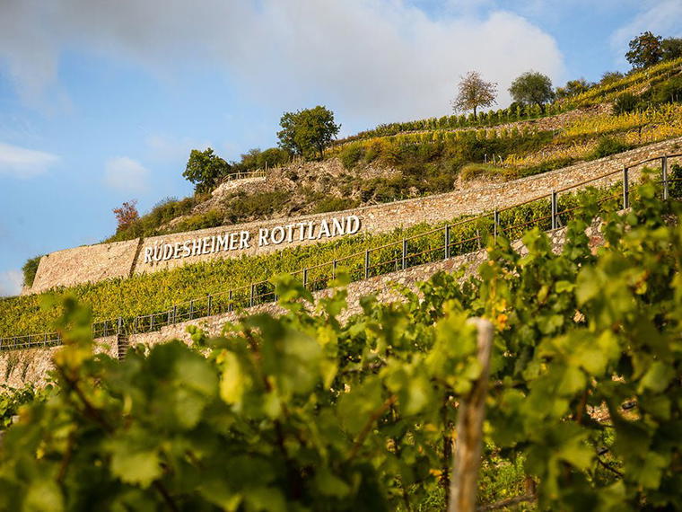 Weingut Balthasar Ress, Eltville, Germany
