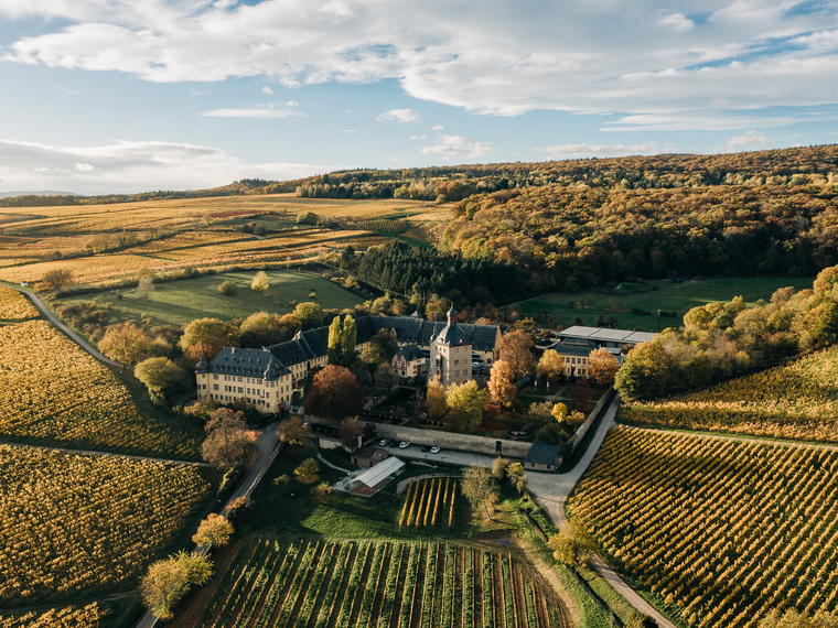 Schloss Vollrads, Oestrich-Winkel, Germany