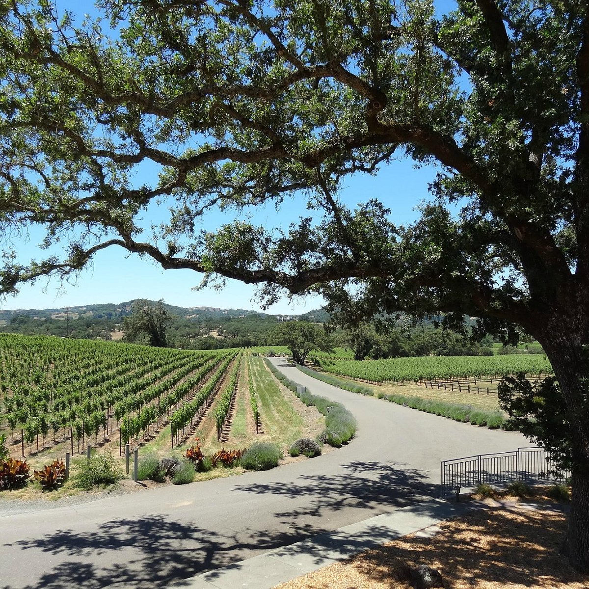 Hanna Winery