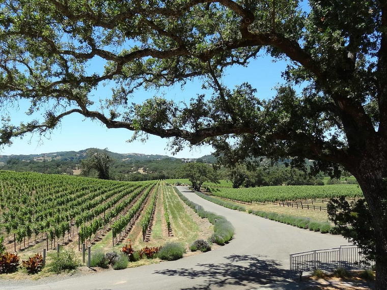 Hanna Winery, Healdsburg, United States