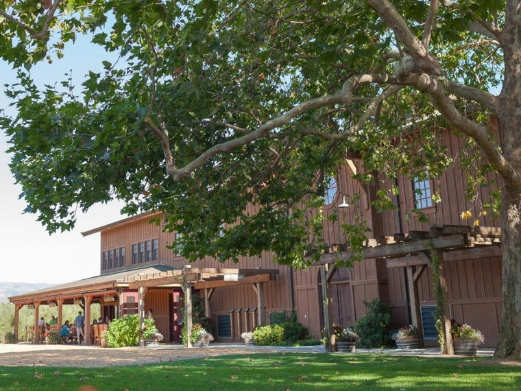 Robert Biale Vineyards, Napa, United States