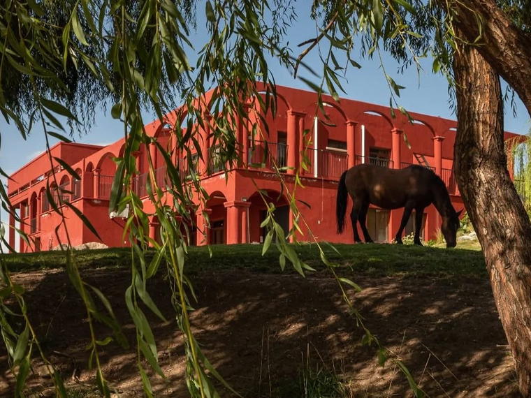 Bodega Zorzal, Tunuyán, Argentina