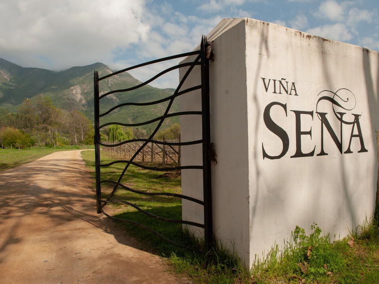 Viña Seña, Panquehue, Chile
