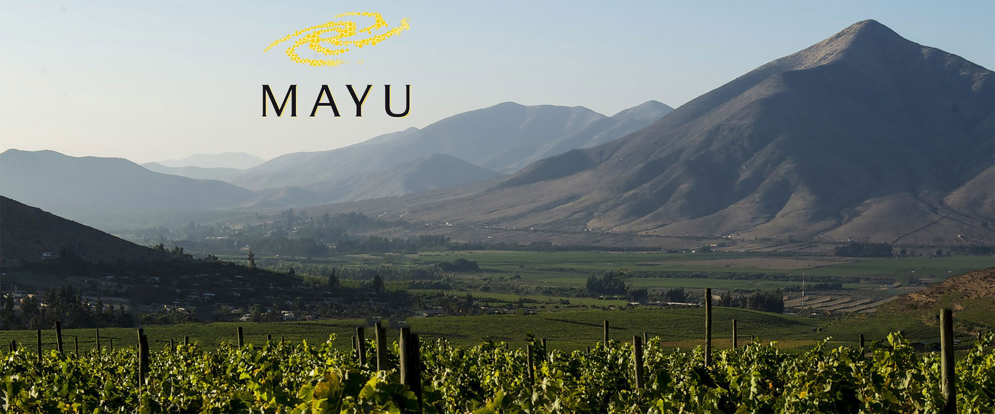 Viña Mayu winery in Vicuña, Chile