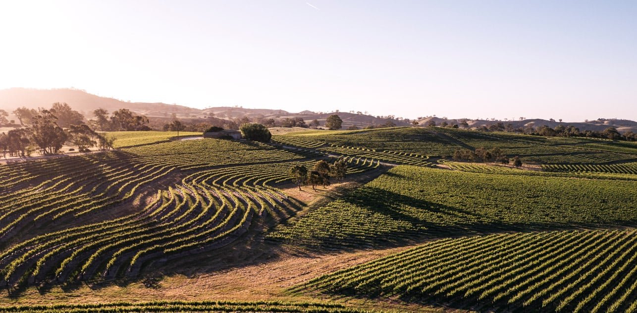 Pewsey Vale Vineyard winery in Eden Valley, Australia