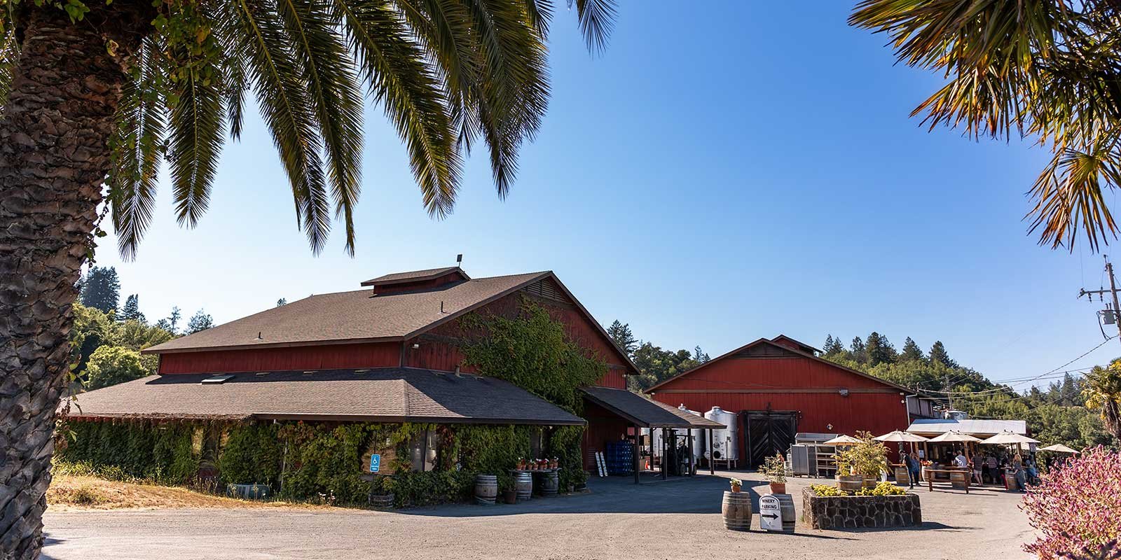 Iron Horse Vineyards winery in Sebastopol, United States