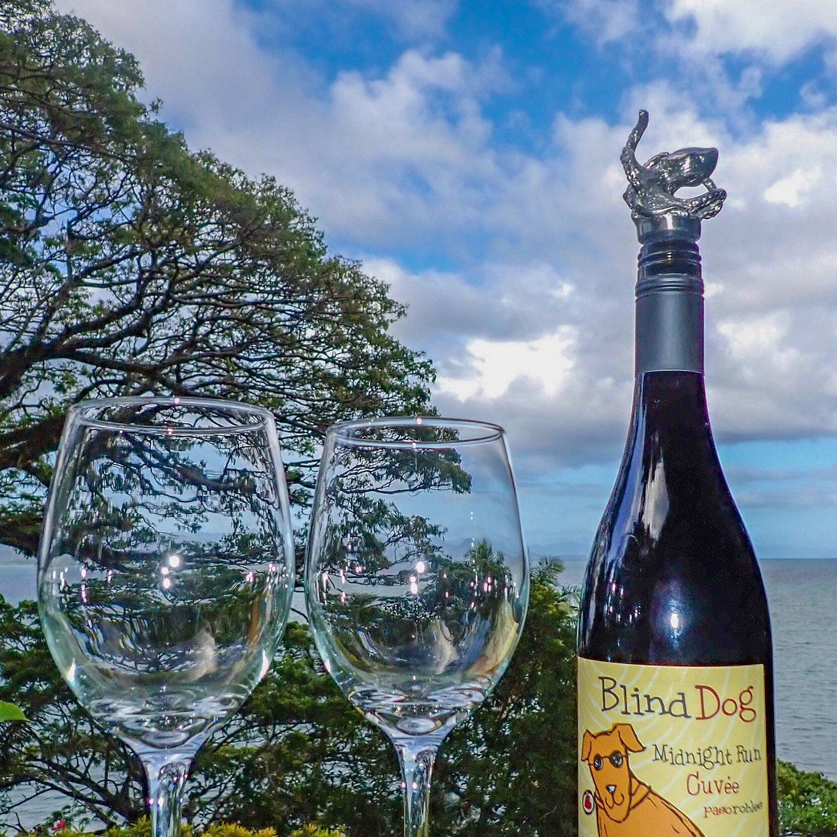 Ecluse Wines, Winery in Paso Robles