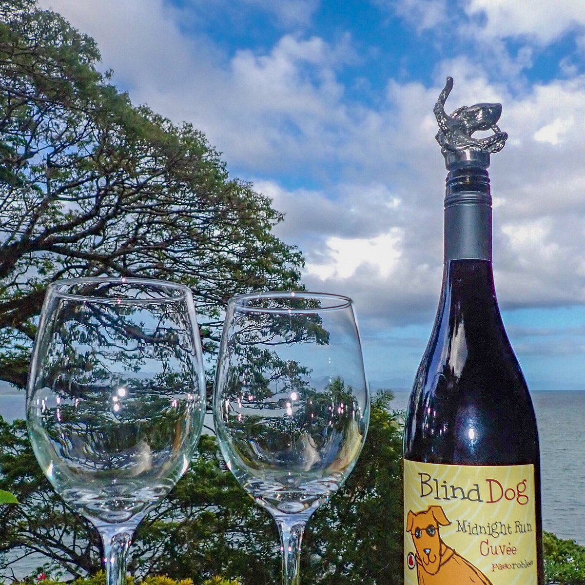 Ecluse Wines