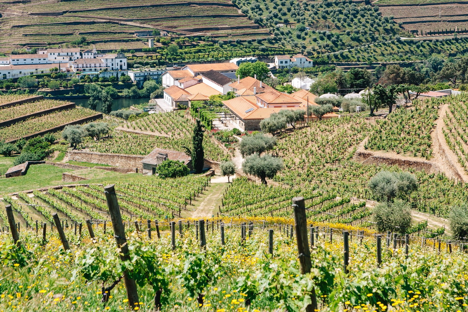 Quinta da Roêda (Croft)