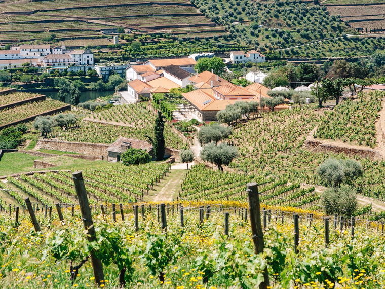 Quinta da Roêda (Croft), Pinhão, Portugal