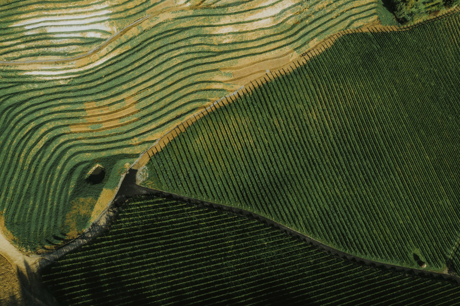 Familienweingut Tement, Ehrenhausen, Austria