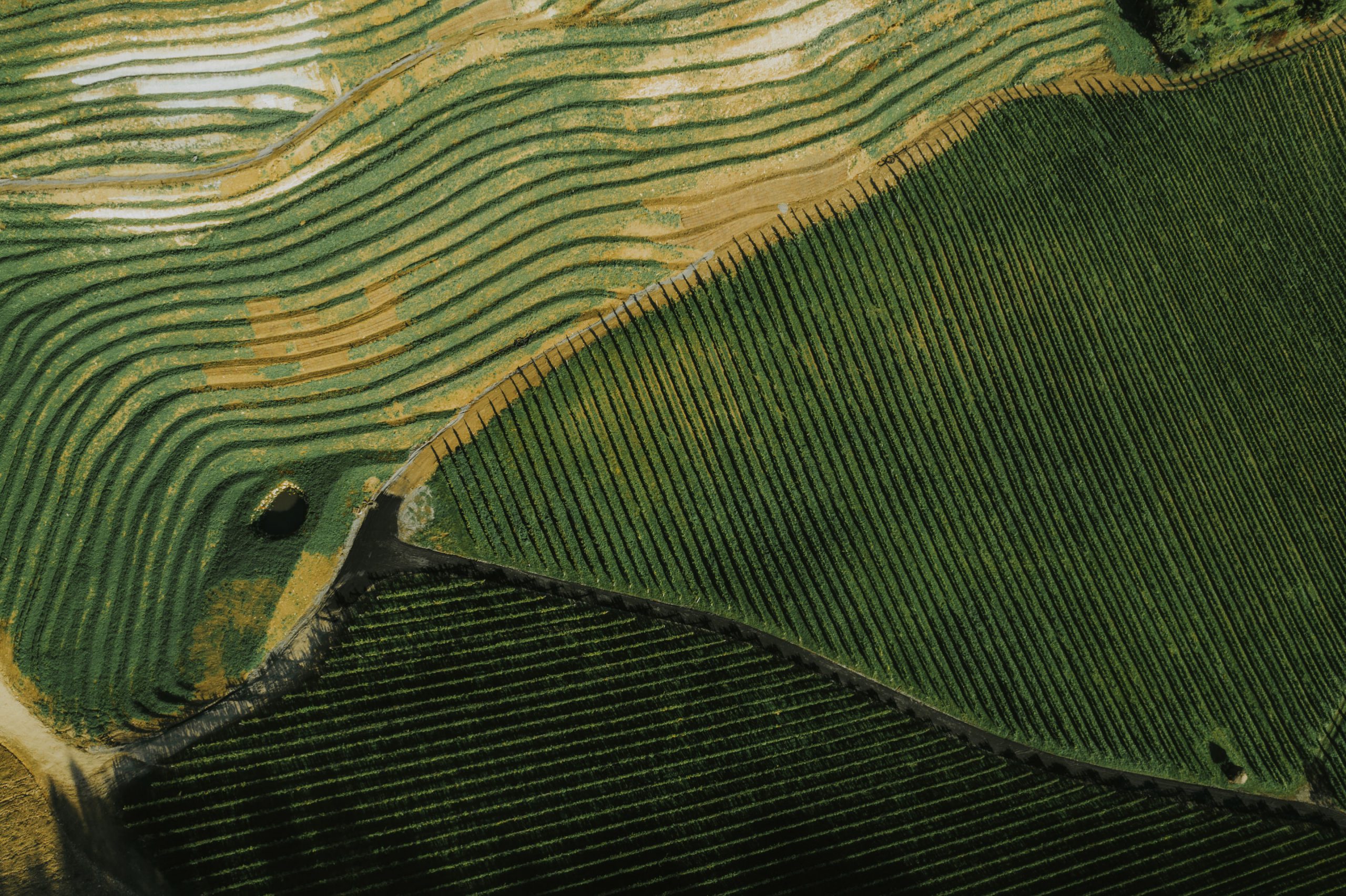 Familienweingut Tement