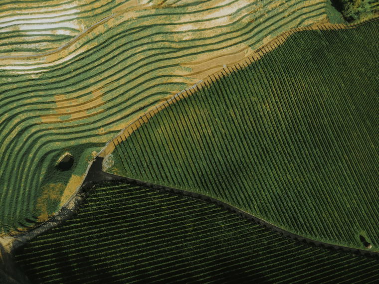 Familienweingut Tement, Ehrenhausen, Austria