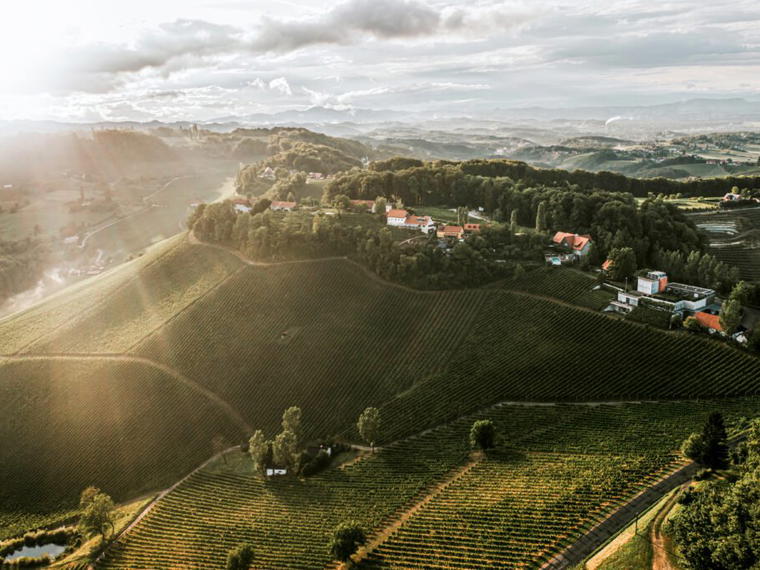 Familienweingut Tement, Ehrenhausen, Austria