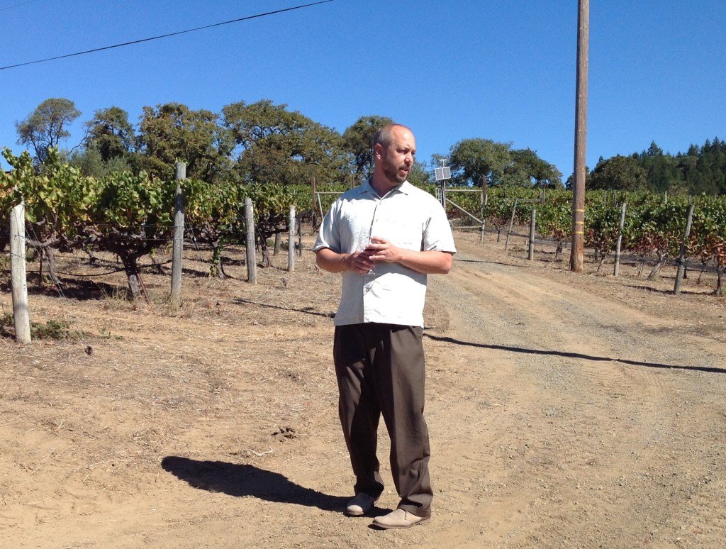 Knez Winery winery in Philo, United States