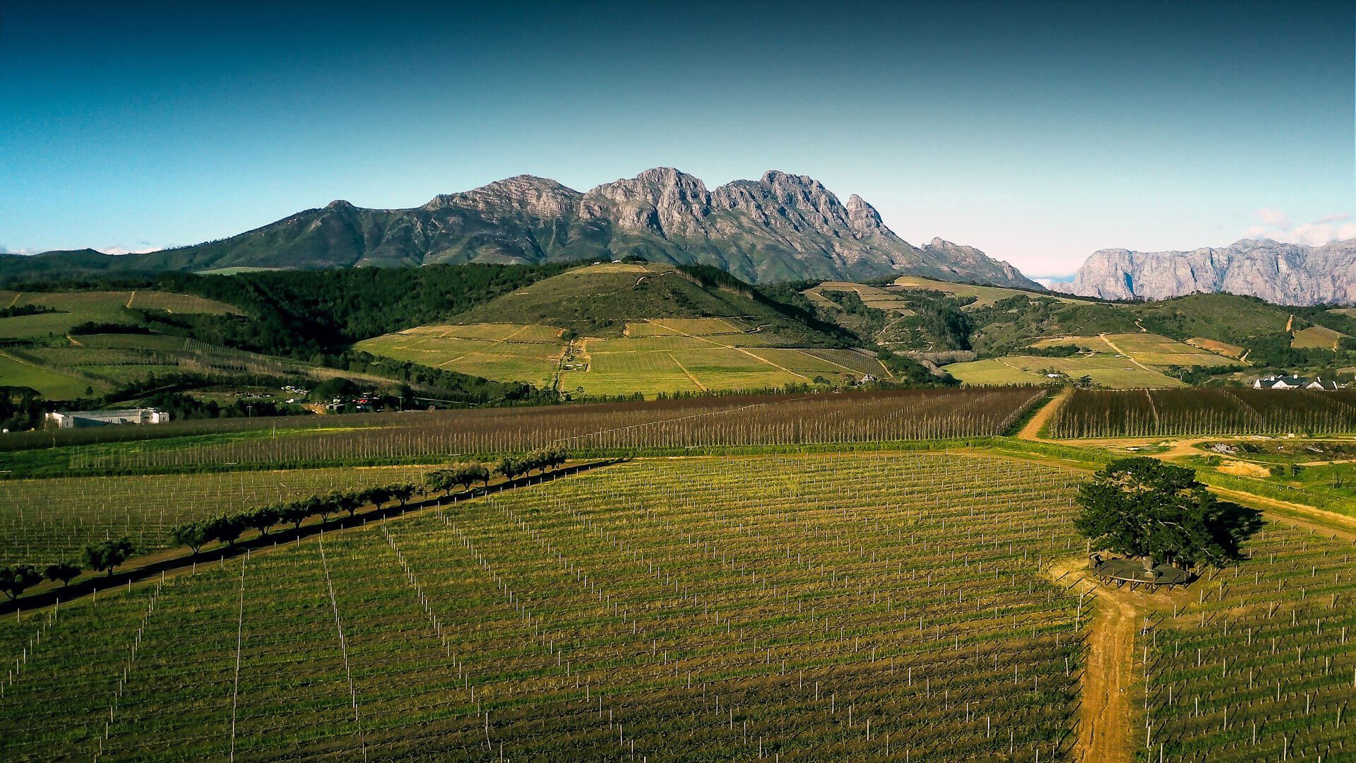 L’Avenir Wine Estate, Winery in Stellenbosch
