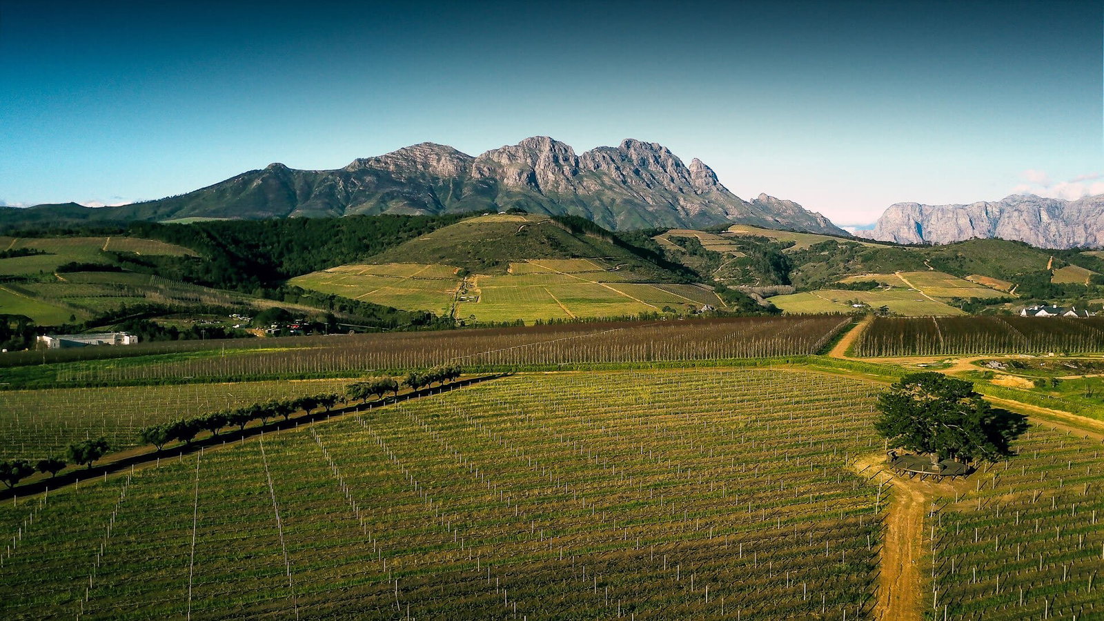 L’Avenir Wine Estate