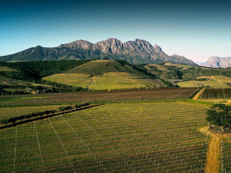L’Avenir Wine Estate, Stellenbosch, South Africa