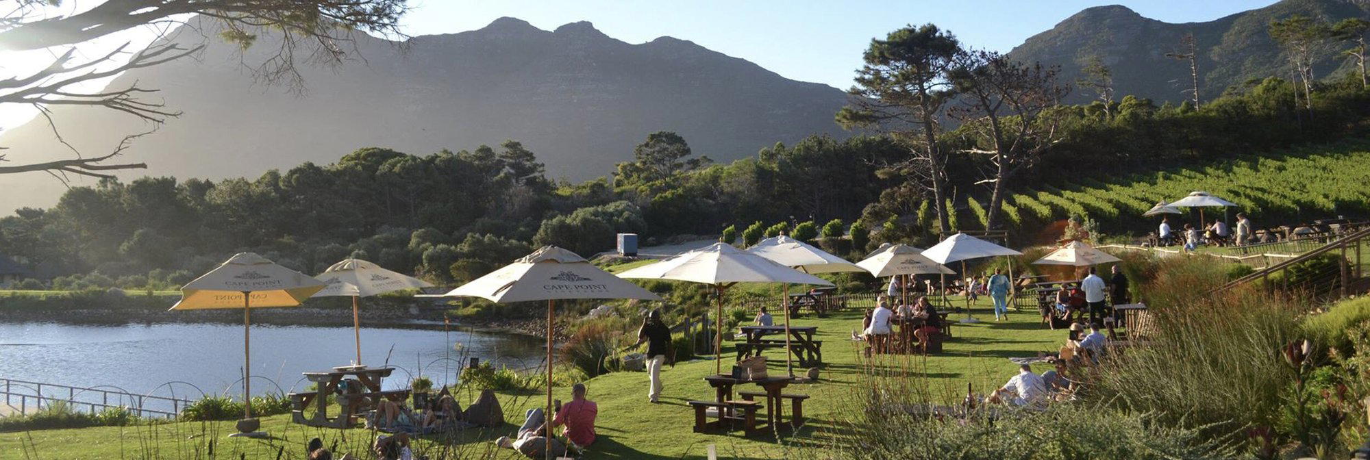 Cape Point Vineyards, Cape Town, South Africa