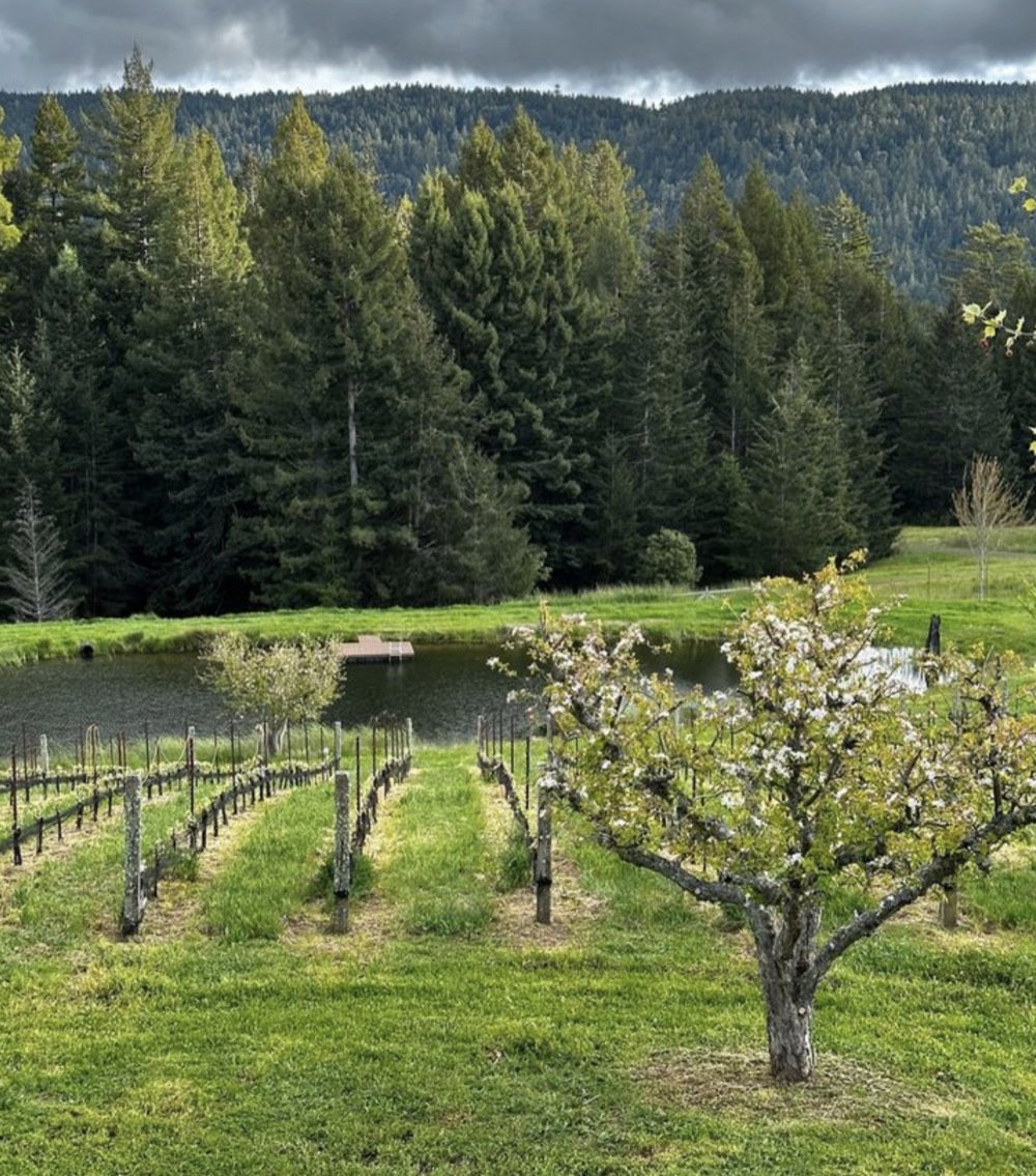 Drew Family Wines, Elk, United States