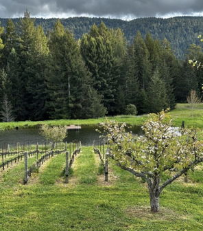 Drew Family Wines