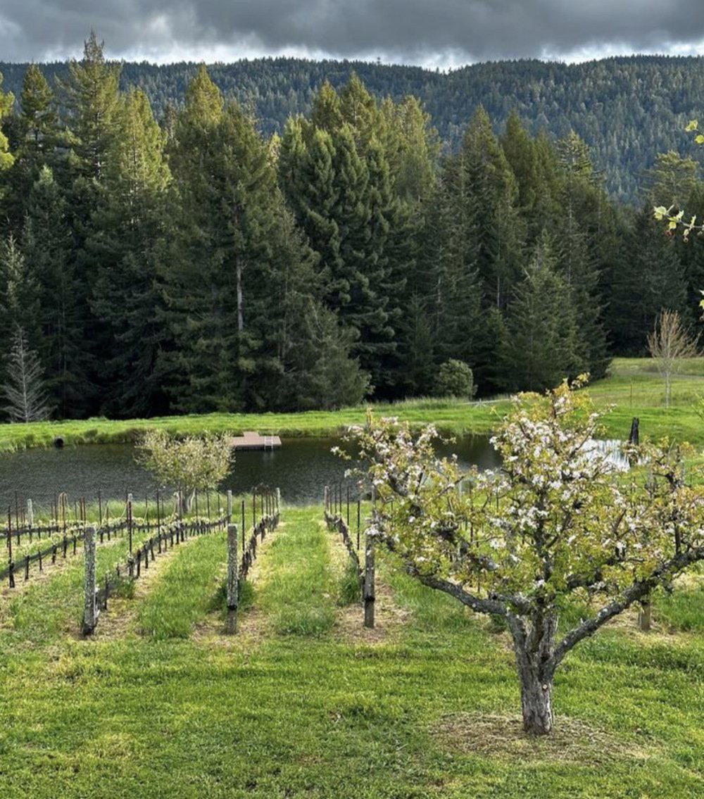 Drew Family Wines winery in Elk