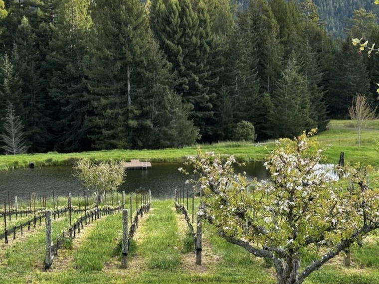 Drew Family Wines, Elk, United States
