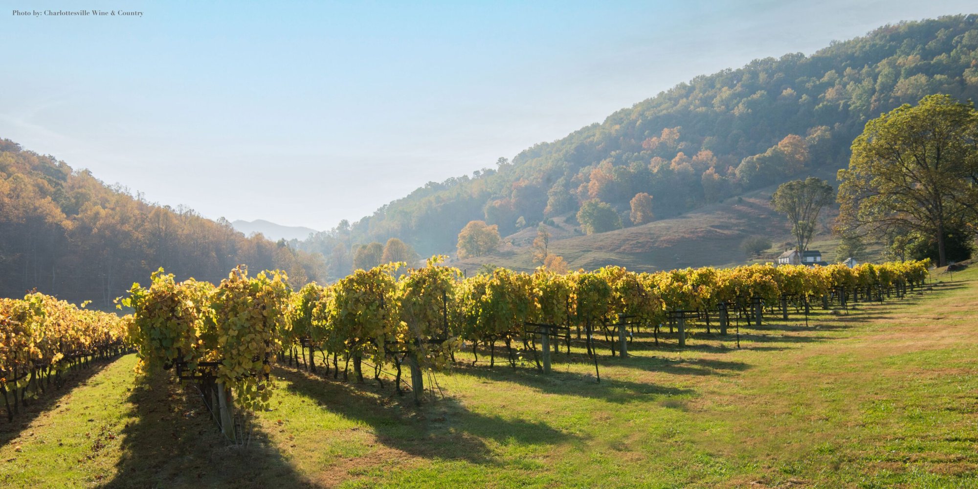 DuCard Vineyards winery in Etlan, United States