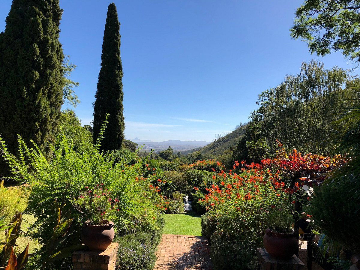 Delheim Wine Estate, Winery in Stellenbosch
