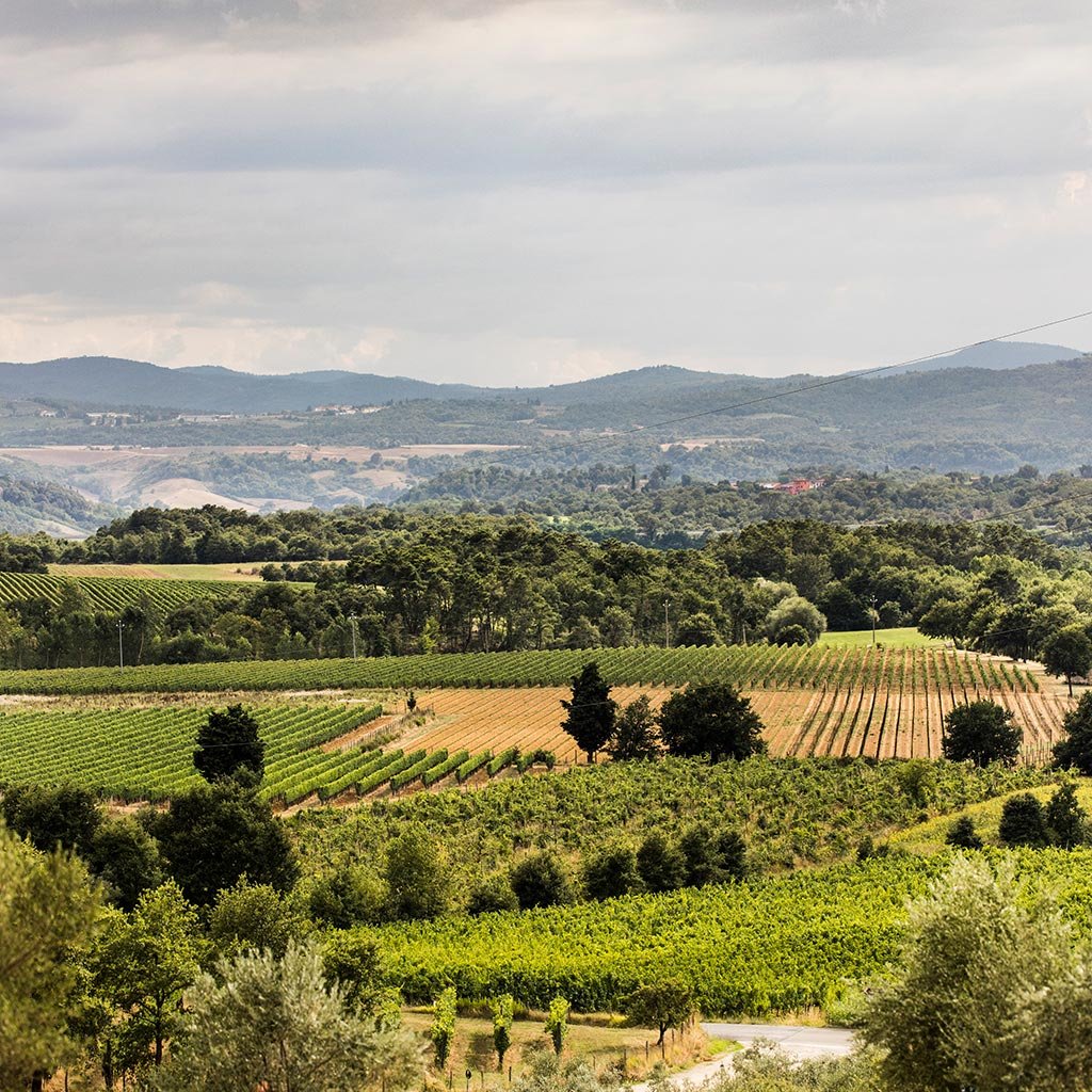 Tenuta Sette Ponti