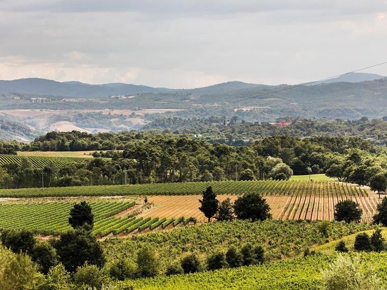 Tenuta Sette Ponti, Castiglion Fibocchi, Italy
