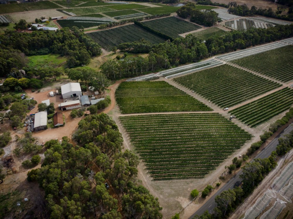 Moss Wood winery in Margaret River, Australia