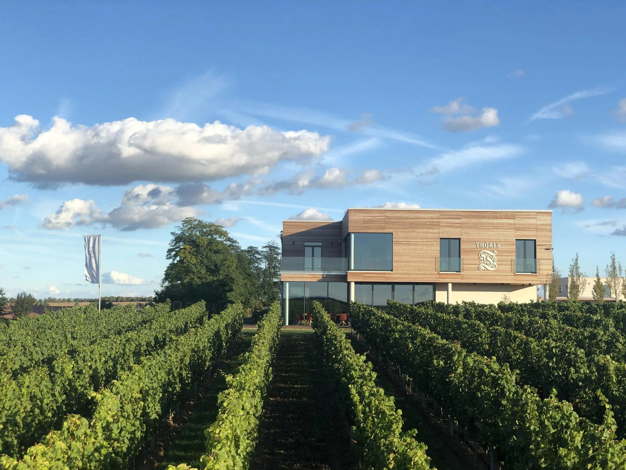 Weingut Thörle winery in Saulheim
