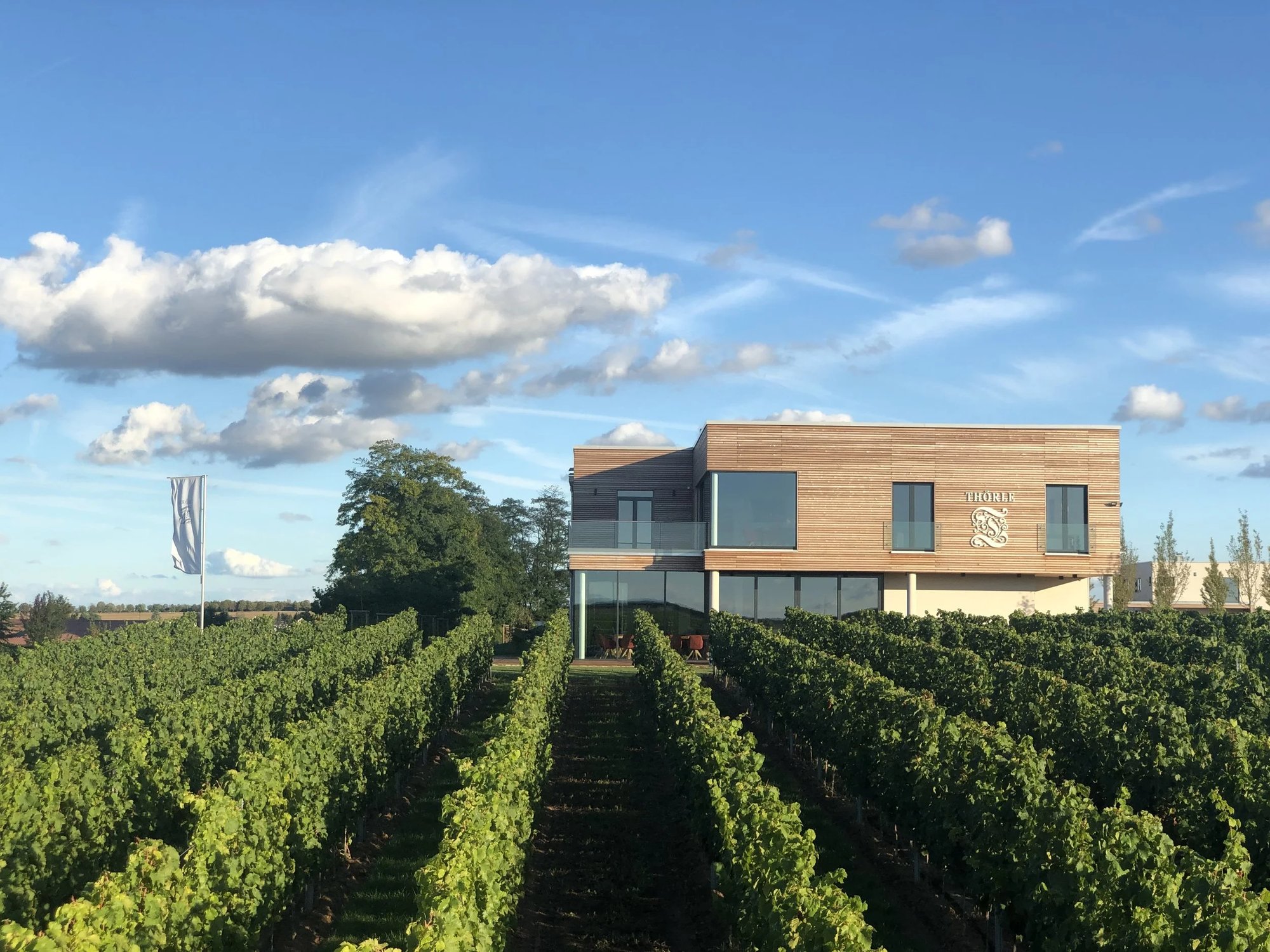 Weingut Thörle winery in Saulheim, Germany