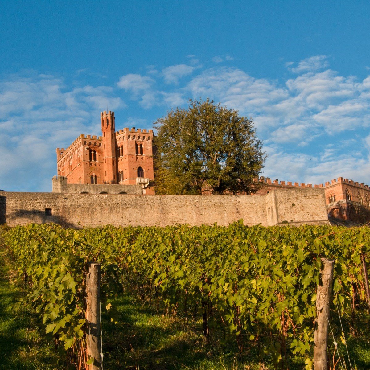 Stock Spirits (Stock 84) winery in Trieste, Italy