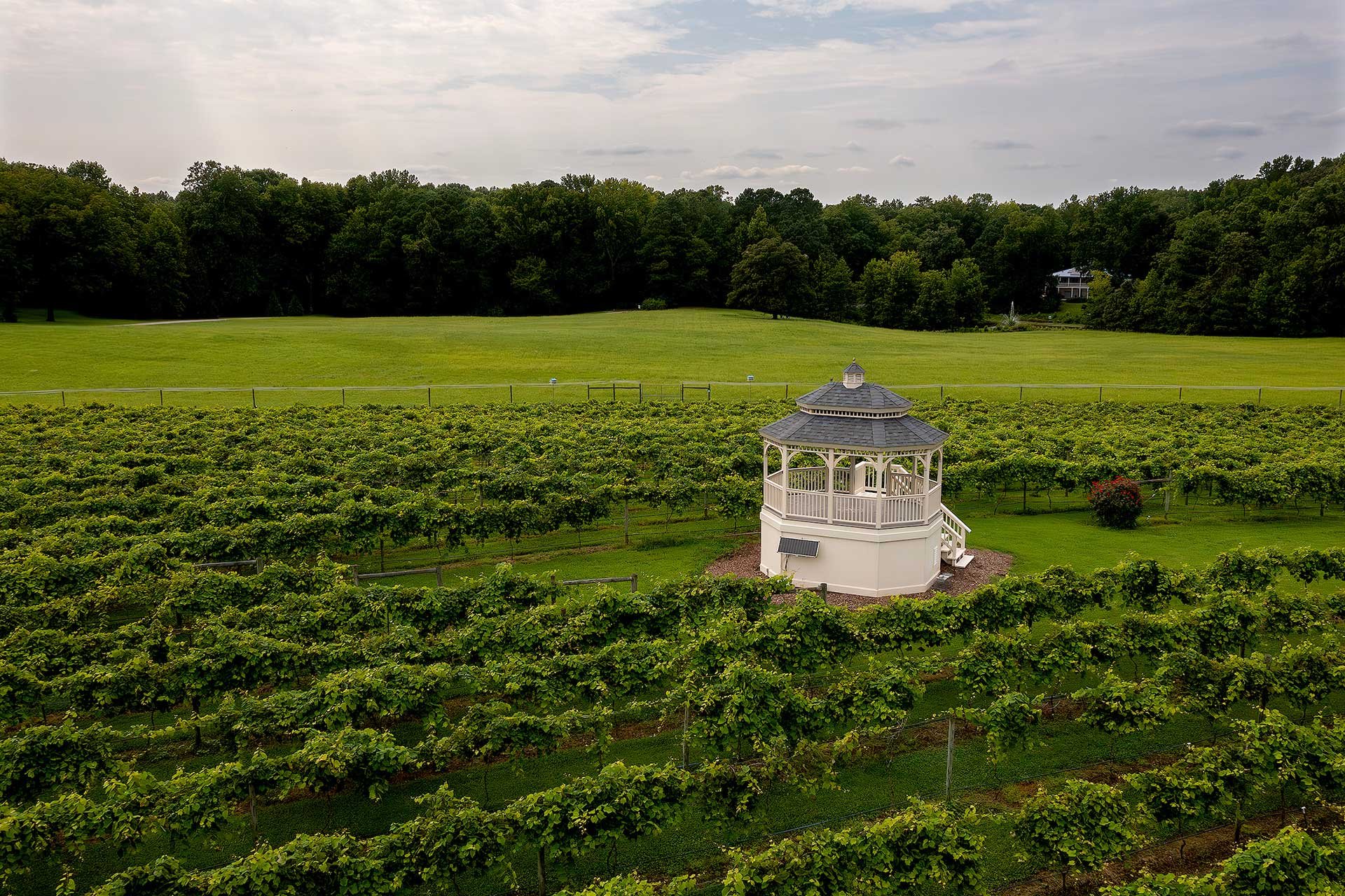 Gauthier Vineyard winery in New Kent, United States