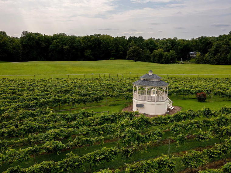 Gauthier Vineyard, New Kent, United States