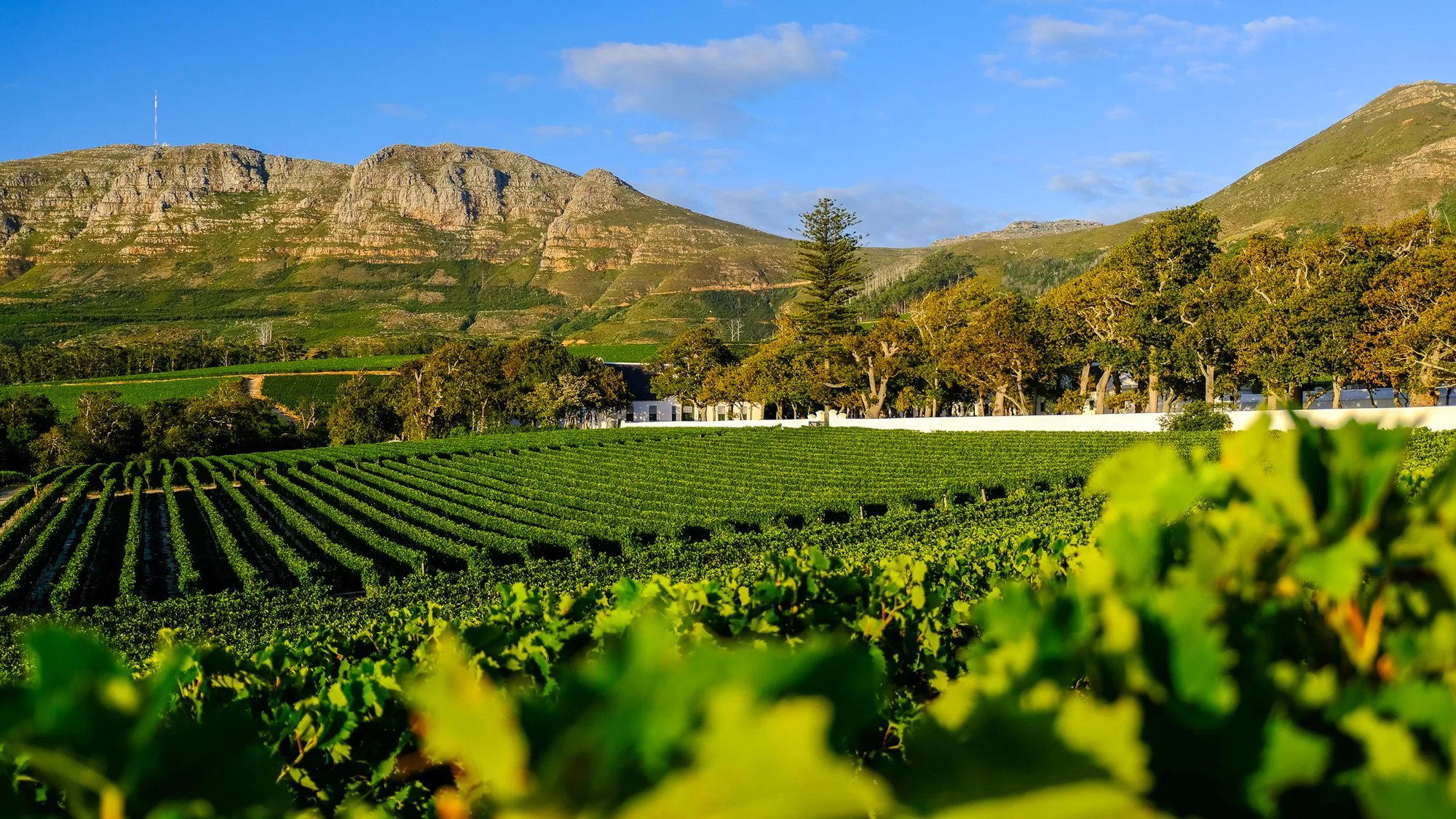 Groot Constantia, Cape Town, South Africa