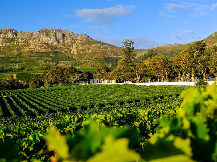 Groot Constantia, Cape Town, South Africa